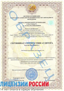 Образец сертификата соответствия аудитора №ST.RU.EXP.00006191-3 Зима Сертификат ISO 50001